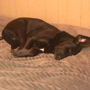 Meet your Posher, Mike